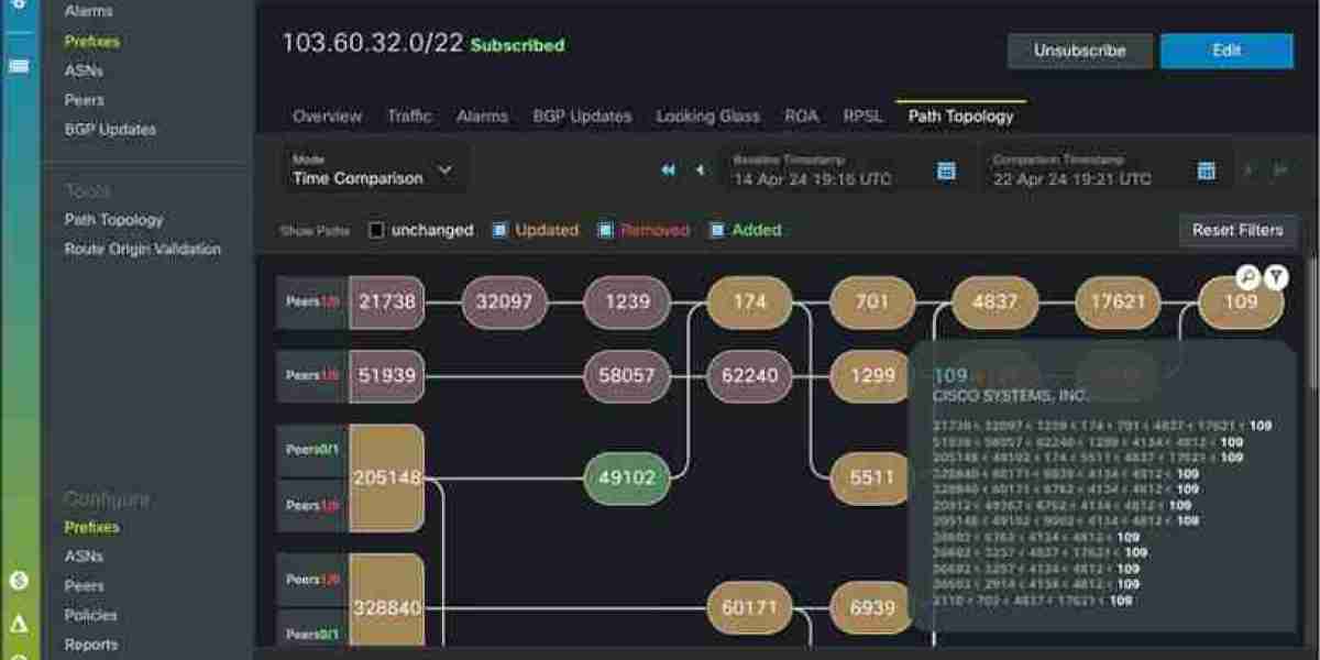BGP Security: Solutions & Monitoring Explained
